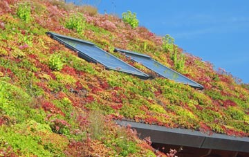 Knaptoft living roof systems